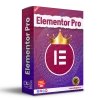 Elementor Pro