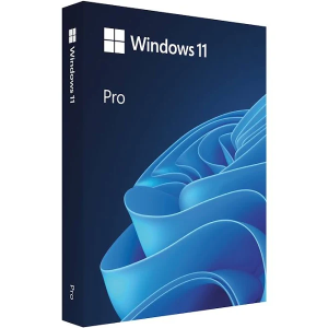 Windows 11 Pro