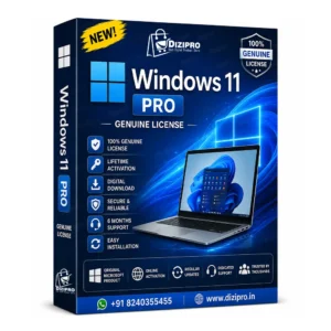 Windows 11 Pro